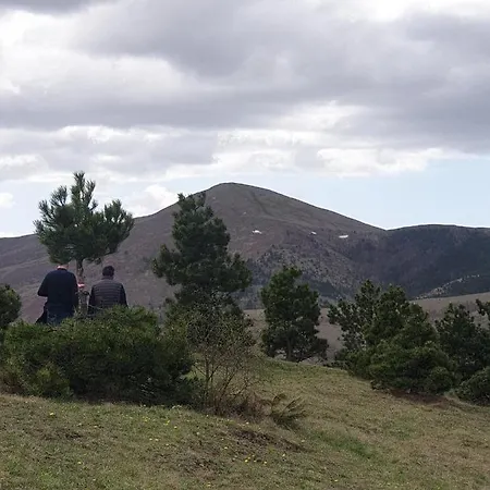 Апартаменты Strela