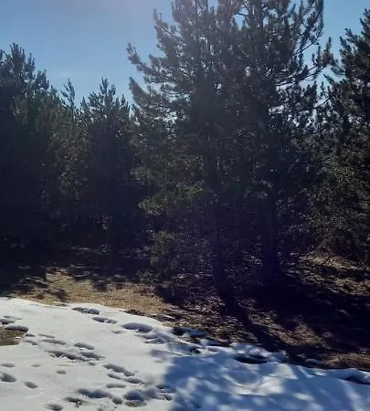 Strela Апартаменты Златибор