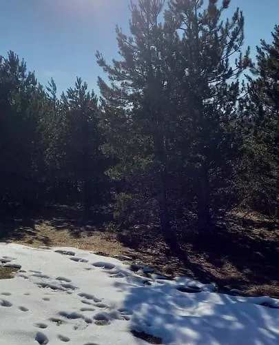 Strela Daire Zlatibor